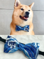 Солнечные голубые волны