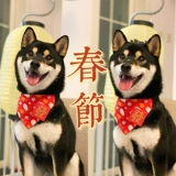 2023 Китайский новогодний новогодний новый год Pet Cat Dog, Shibu Inu Corgi Fighting Новый год.