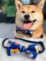 Blue Shiba Inu avatar