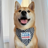 ПЭТ -собака кот и кошка Шибай Ину Корги Японская драма -сперма -треугольник рот водяной полотенце большое, средний декоративный нагрудник с средним размером