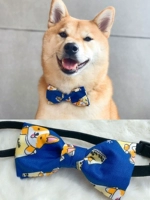 Синий Корги