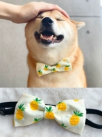 Ананасовый ананас