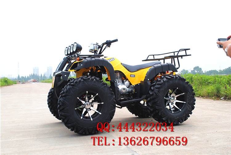 150CC-250CC lớn bull ATV 12 inch bốn bánh off-road xe máy ổ trục với sự khác biệt