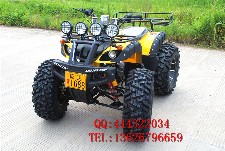 150CC-250CC lớn bull ATV 12 inch bốn bánh off-road xe máy ổ trục với sự khác biệt