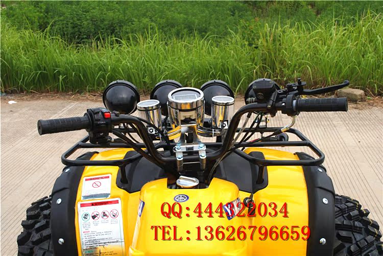 150CC-250CC lớn bull ATV 12 inch bốn bánh off-road xe máy ổ trục với sự khác biệt