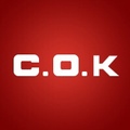 cok电器旗舰店的LOGO