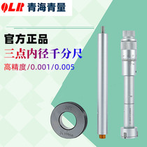 Qinghai Qinghai Qinghai Qinghai Qinghai Qinghai Qingyuan stainless steel scale 3 point inner diameter thousand-point caliber