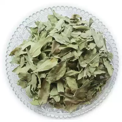 Chinese herbal medicine Apocynum leaf herbal tea Xinjiang Apocynum Venetum 50g medicinal shop