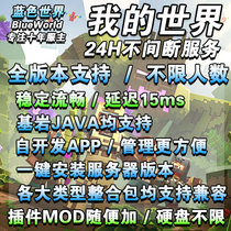 Minecraft server Minecraft server Mc rental panel server integration package smooth server opening