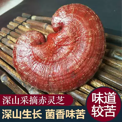 Red Ganoderma lucidum semi-wild planting Bitter Ganoderma lucidum Shaoguan Deep Mountain picking pruned Nyingchi red Ganoderma lucidum slices brewing tea 500g