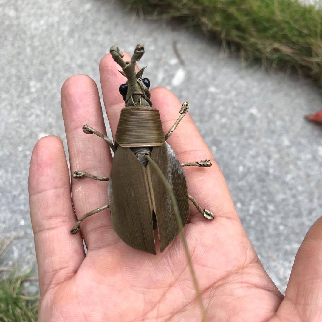 Straw animal unicorn beetle insect primary school students classroom insect memo sample