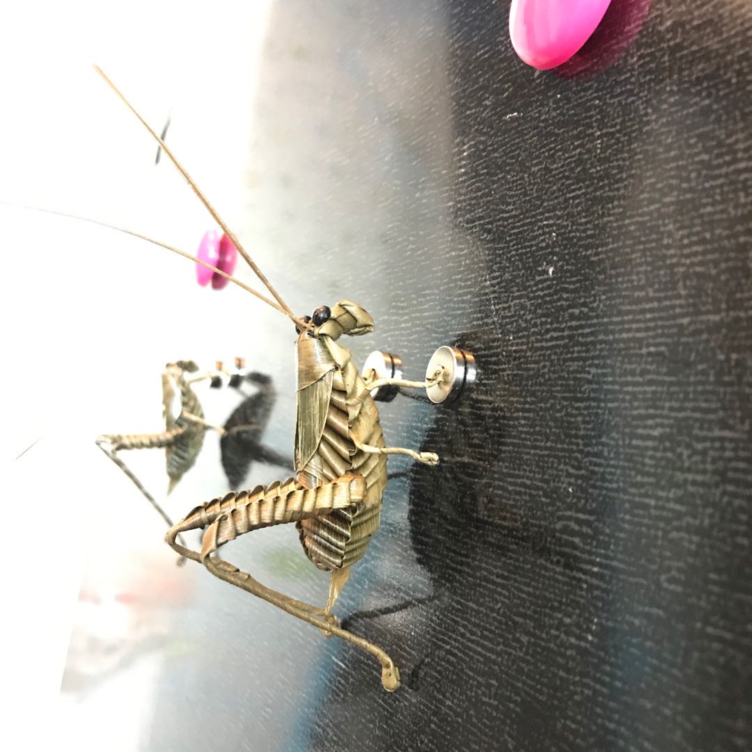 Blackboard wall stickup magnetic hanging teaching supplies emulation Animal brown straw choreography Scan mobile baby epistemose training