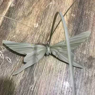 Grass-woven animal butterfly Kindergarten primary school handmade class homework Folk non-genetic inheritance DIY brown leaf air-dried material