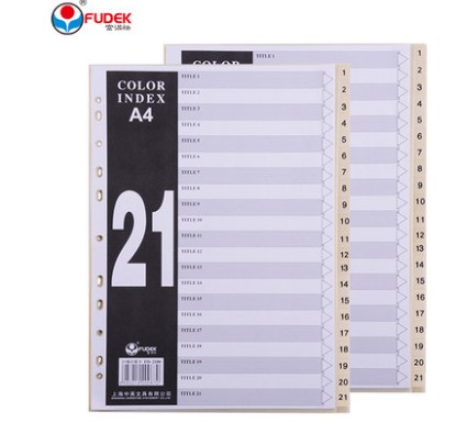 Rich Fast 31 Page Rich Fast 31 Page FD3100 Plastic classified paper Paged paper Classification Caso 1 page FD31