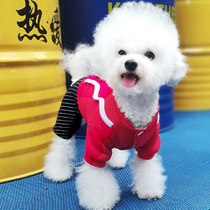 Chinese New Year festive net red pet pooch clothing autumn and winter clothing more than a bear teddy small dog four-leged New Year Winter thickened