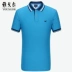 Youngor Youngor Mùa Hè của Nam Giới POLO Kinh Doanh Bình Thường Ngắn Tay Áo của Nam Giới Cotton Đồng Bằng T-Shirt Nam 8712 t shirt polo Polo