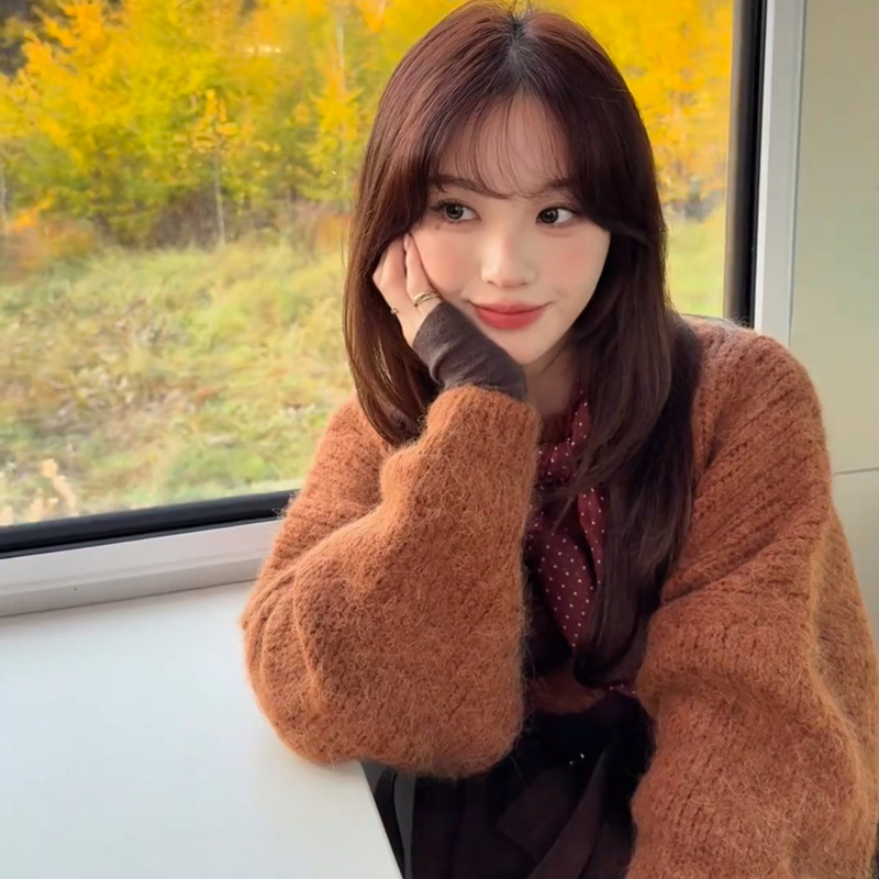 Trendy Alpaca Sweater for Women, 2025 Autumn and Winter New Knit Wool Sweater, Stylish and Versatile, Loose Fit Trendy Alpaca Sweater for Women, 2025 Autumn and Winter New Knit Wool Sweater, Stylish and Versatile, Loose Fit