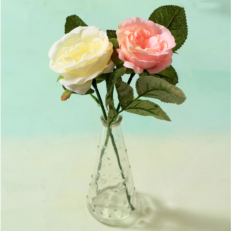 Glass Bottle Rose Suit Nordic Style Minimalist Transparent Floating Point Glass Vase Home Decoration Flower