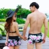 2018 mới áo tắm bikini ba mảnh phù hợp với đồ bơi ngực vài kỳ nghỉ bãi biển quần bơi nam quần bơi sản phẩm mới - Vài đồ bơi đồ đi biển cho cặp đôi Vài đồ bơi