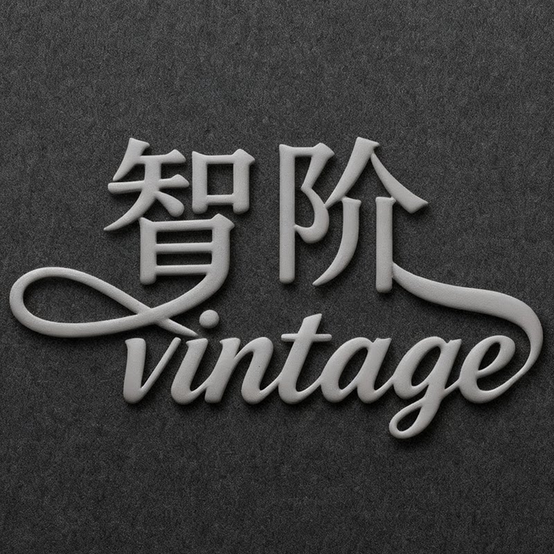 智阶制衣 vintage
