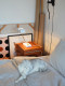 Medieval-Style Bedroom Bedside Table Lamp 7969 Type Space Age Minimalist Living Room B&B Cafe Simple Table Lamp