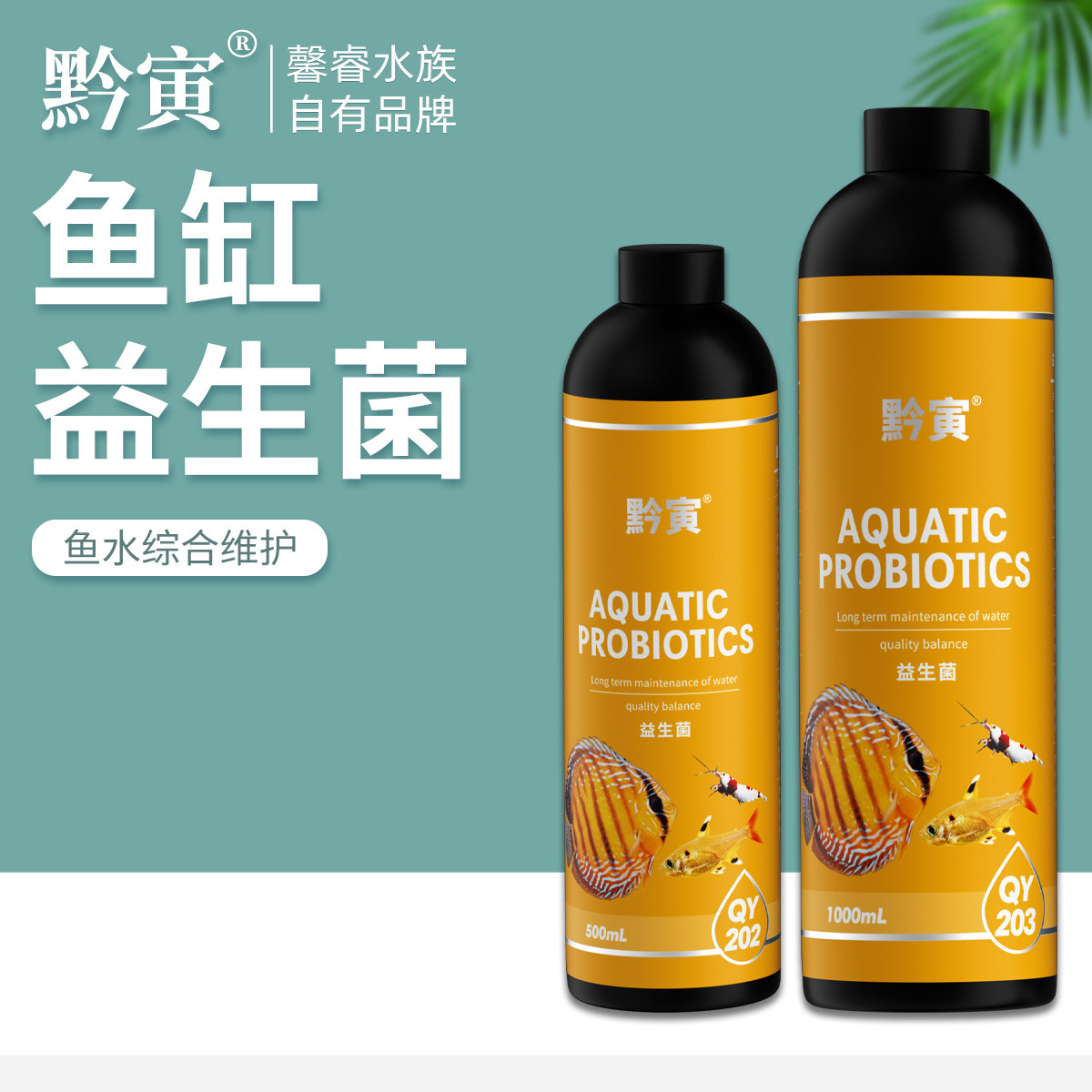 黔寅水族益生菌助建立硝化观赏鱼龙鱼水晶虾水草缸用净水水质调理