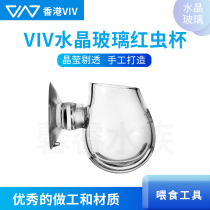 香港VIV 玻璃喂食器 灯科鱼红虫杯投鱼食喂食杯虾缸草缸线虫鱼粮