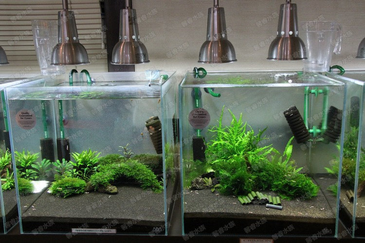 天天特价 日本power House 火山熔岩石水草 水晶虾缸造景素材 折扣季 熔岩 日本 水草 火山 素材途虎网