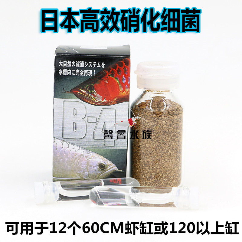 日本进口b 4硝化细菌每克30亿强效硝化菌24小时快速建立硝化系统