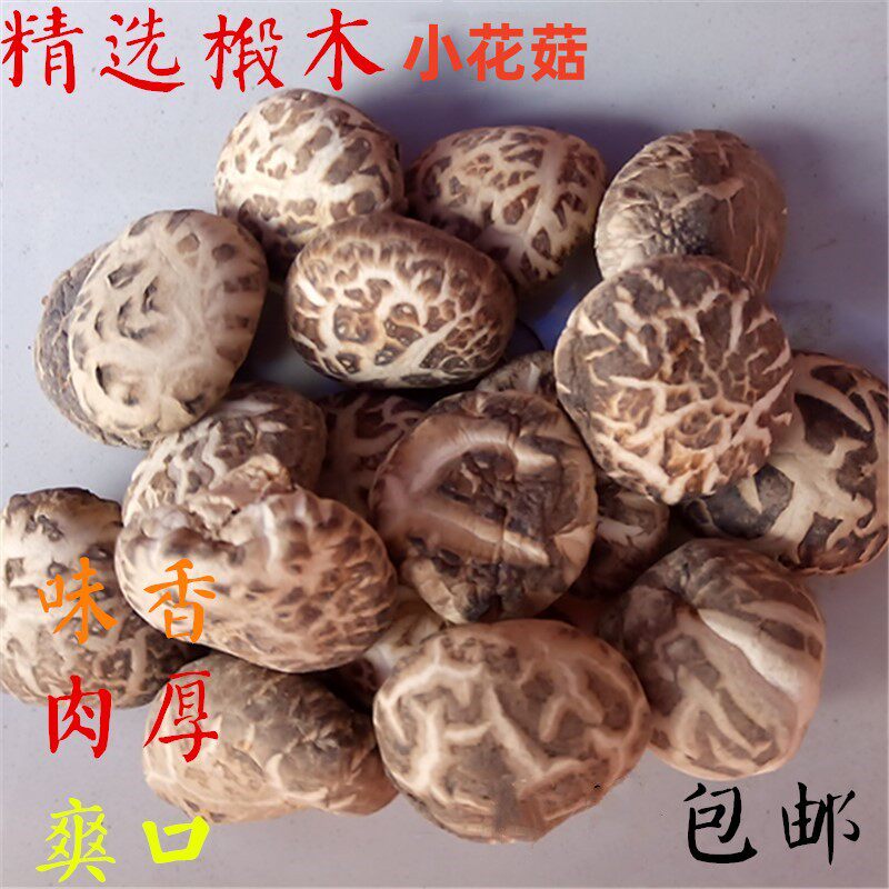 Yichang mushrooms linden wood thick meat small flower mushrooms Shutterstock Mushroom Farmhouse Special Produce Flat Foot Winter Mushrooms North And South Dry Goods Mushrooms-Taobao