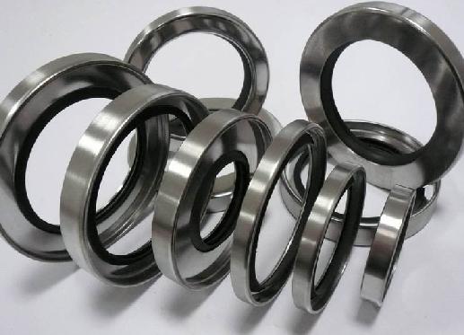 Carbon steel outer iron shell double lip PTFE oil seal