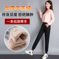 Fall and winter lamb plus thicker sweaters female warm wearing high waist large-yard loose cotton pants casual pants
