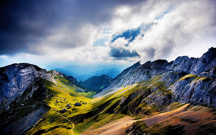ps插件PR/AE/LR全天插件合集磨皮美白抠图抠像降噪转场字幕粒子模板调色 31000个ps/PR/AE/LR CC2020 全套插件合集