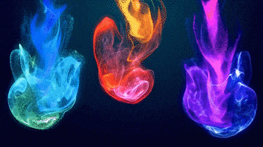 ps插件PR/AE/LR全天插件合集磨皮美白抠图抠像降噪转场字幕粒子模板调色 31000个ps/PR/AE/LR CC2020 全套插件合集