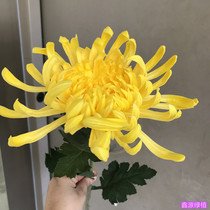 Fake chrysanthemum Qingming Festival sacrifice pu plastic yellow chrysanthemum white decoration single rich chrysanthemum
