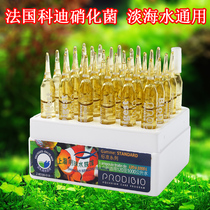 France Cody nitrifying bacteria light seawater general aquarium aquarium purification water quality aquarium supplies 30