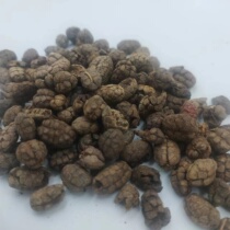 Amomum villosum meat amomum villosum rice shelled amomum villosum Yangchun amomum villosum 500g Chinese herbal medicine supply