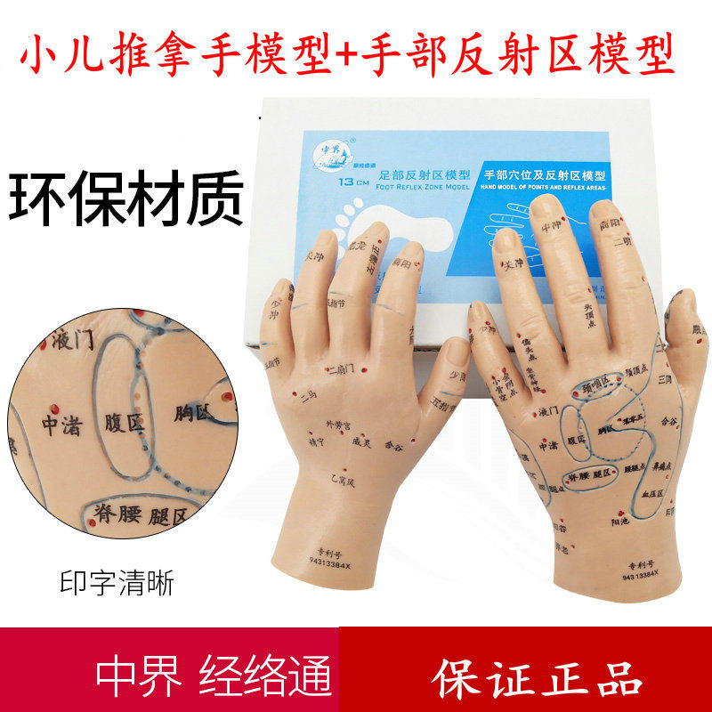 上海经络通手针灸模型/手按摩模型/手穴模型 手模型/手部穴位