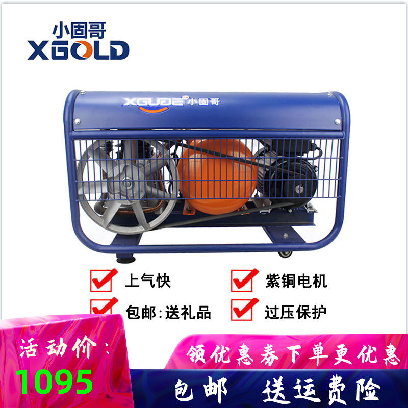 Small Solid Brother House Gas Pump Silent Air Compressor Small High Pressure Spray Painting 220V Wood Furnishing Air Compressor