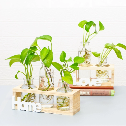 Офис декоративный настольный столик доля зеленый укроп гидропонный растение водное цветочное горшок маленький свежий свежий из гостиной стеклян