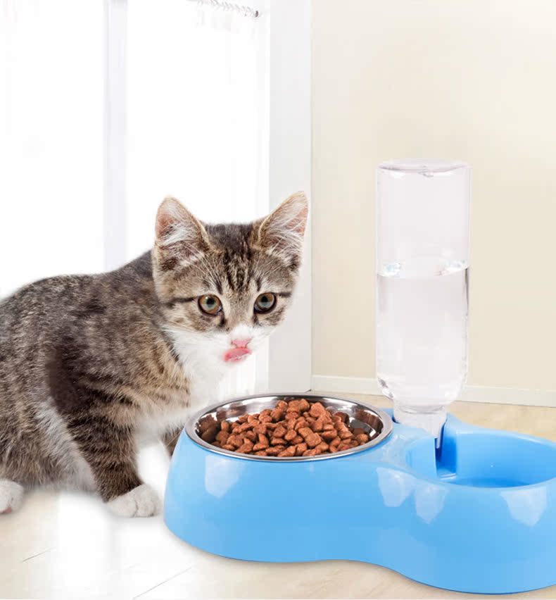 Mèo bát thức ăn cho mèo bát con chó bát thức ăn cho chó bát con chó Teddy bát đôi chó nhỏ và vừa - Cat / Dog hàng ngày Neccessities 	bát ăn đôi cho chó	