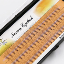 Adorn Grafted Eyelash Imitation Mink Wool Single Plant Cultivation Eyelash Ultra Soft Single Tuft False Eyelash 10 Root Clusters