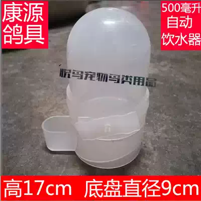 Kangyuan pigeons, pigeons, automatic drinking fountains, dual-purpose birds, food troughs, young pigeons, young pigeons