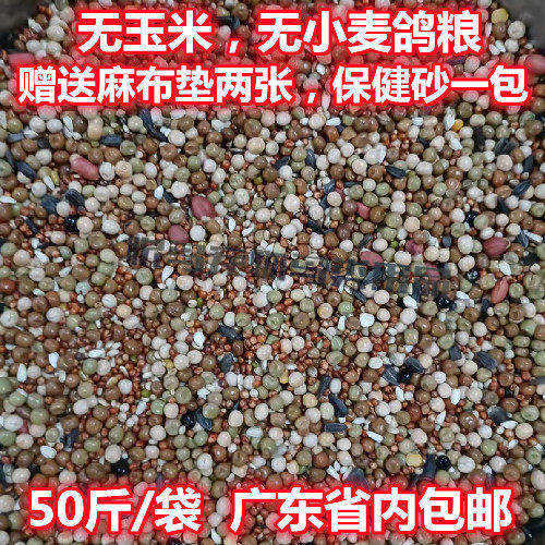 No corn without wheat dove 50 catty Cantonese bird food free of postal dove feed Guangdong letter dove stock
