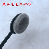 Кавальная черно -белая волосатая раковина