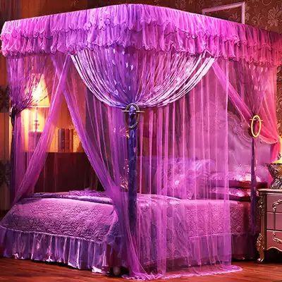 Mosquito net U-shaped retractable shape 2 0x2 2 household 1 8m bed 1 5 encrypted thickening 2 m Princess wind landing double layer