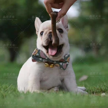 Fighting puppies purebred black and white method cow puppies living pit bull dog cream-colored Bulldog short-haired pet dog