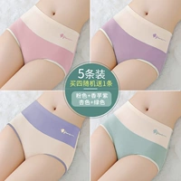 Группа G-Pink+Taro Purple+Abricot+Green+Отправьте ту же модель (5 штук)