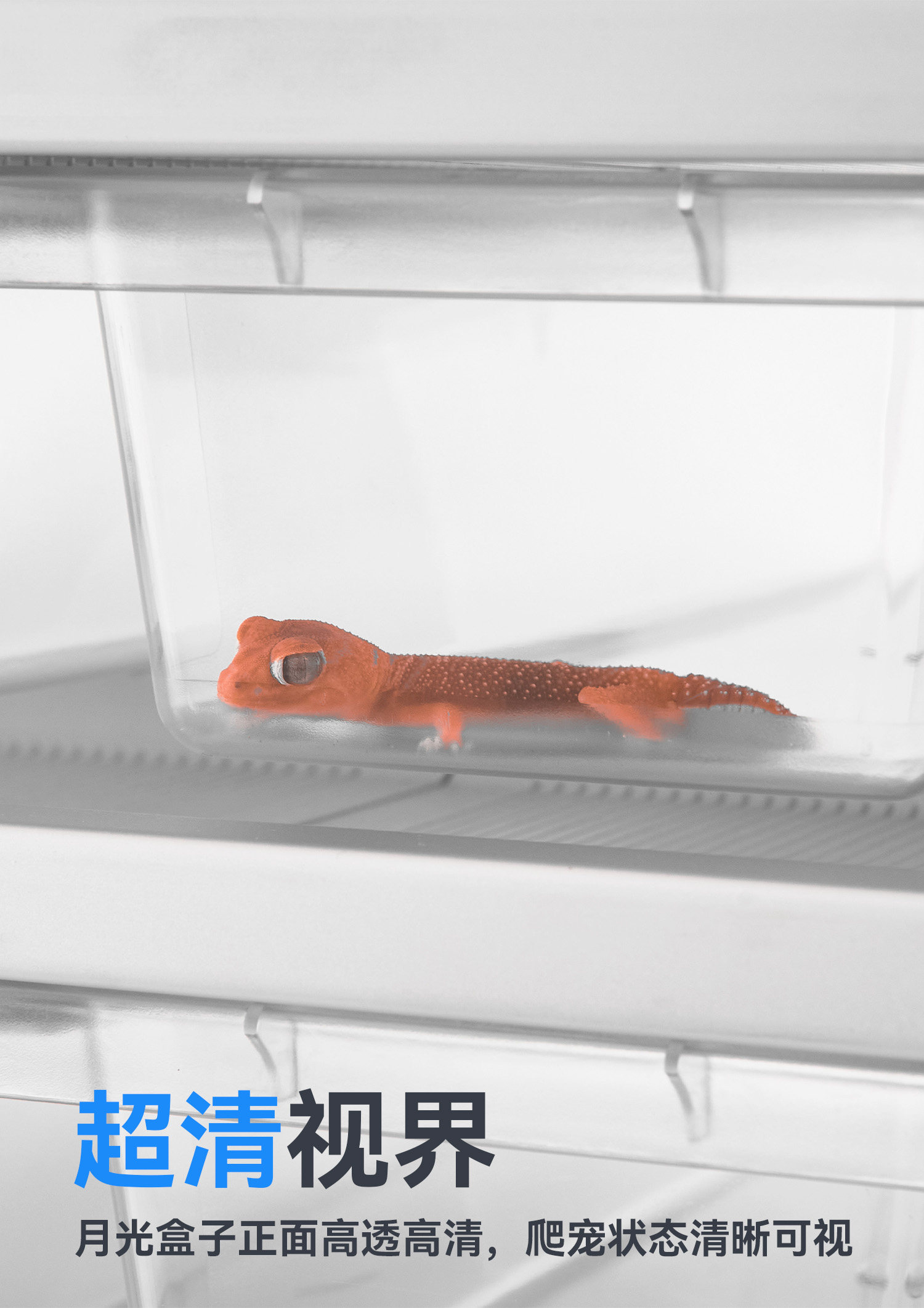 达芬奇爬柜专用饲养盒 detail 6