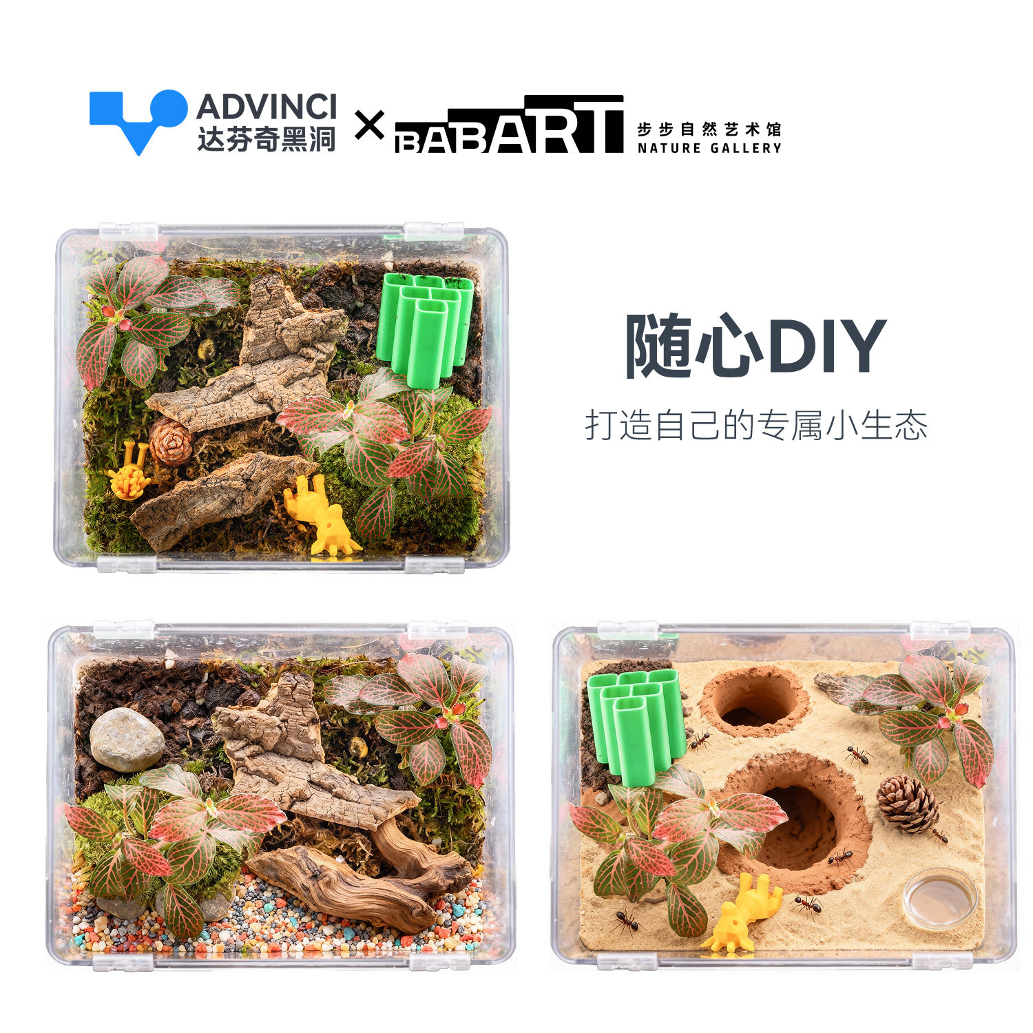 【达芬奇严选】鼠妇饲养套装饲养盒生态缸 detail 4
